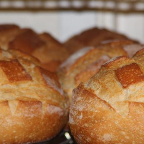 Close-up of several freshly baked, golden-brown bread loaves with scored tops.