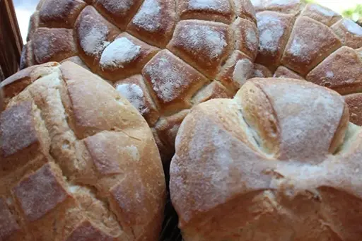 A close up of several loaves of bread