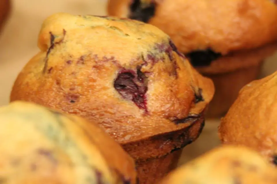 A close up of some muffins with blueberries